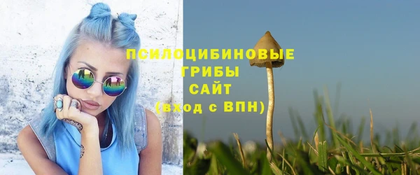 прущая мука Арсеньев