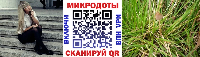 закладка  Светлоград  Галлюциногенные грибы GOLDEN TEACHER 