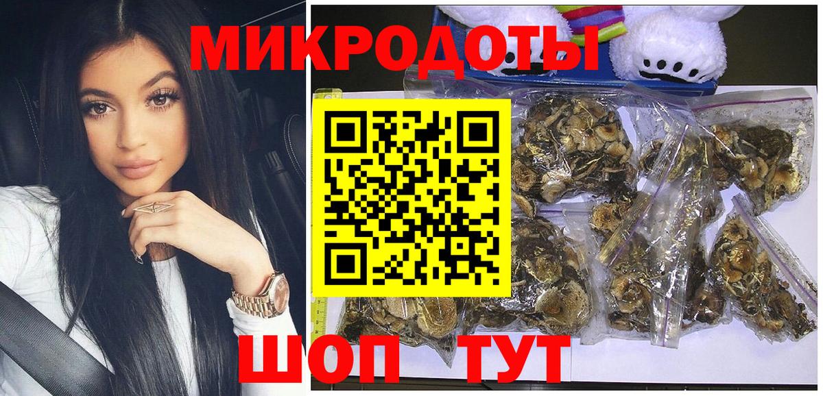 Галлюциногенные грибы Cubensis Светлоград