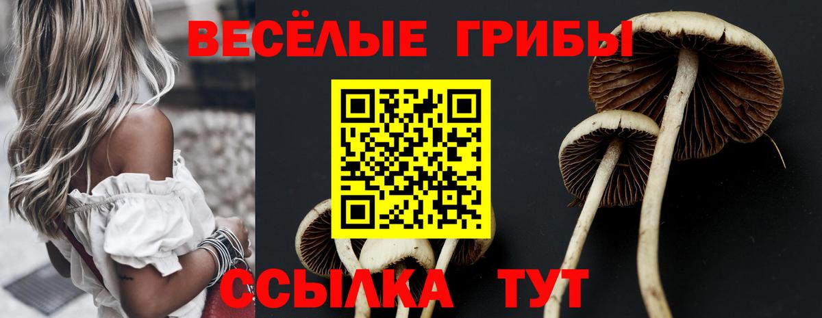 Галлюциногенные грибы Psilocybine cubensis  Вход с VPN  Светлоград 