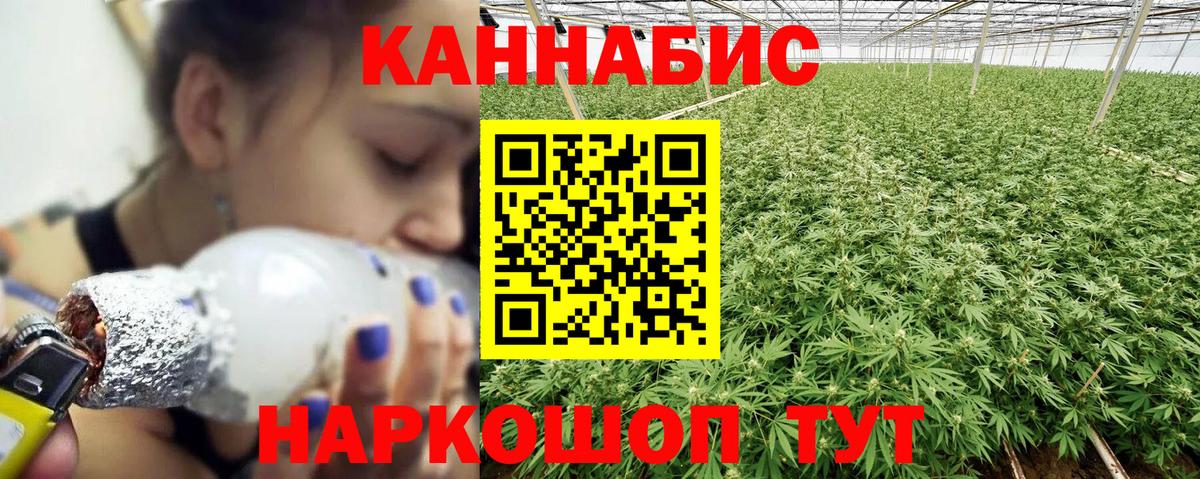 Конопля план Светлоград
